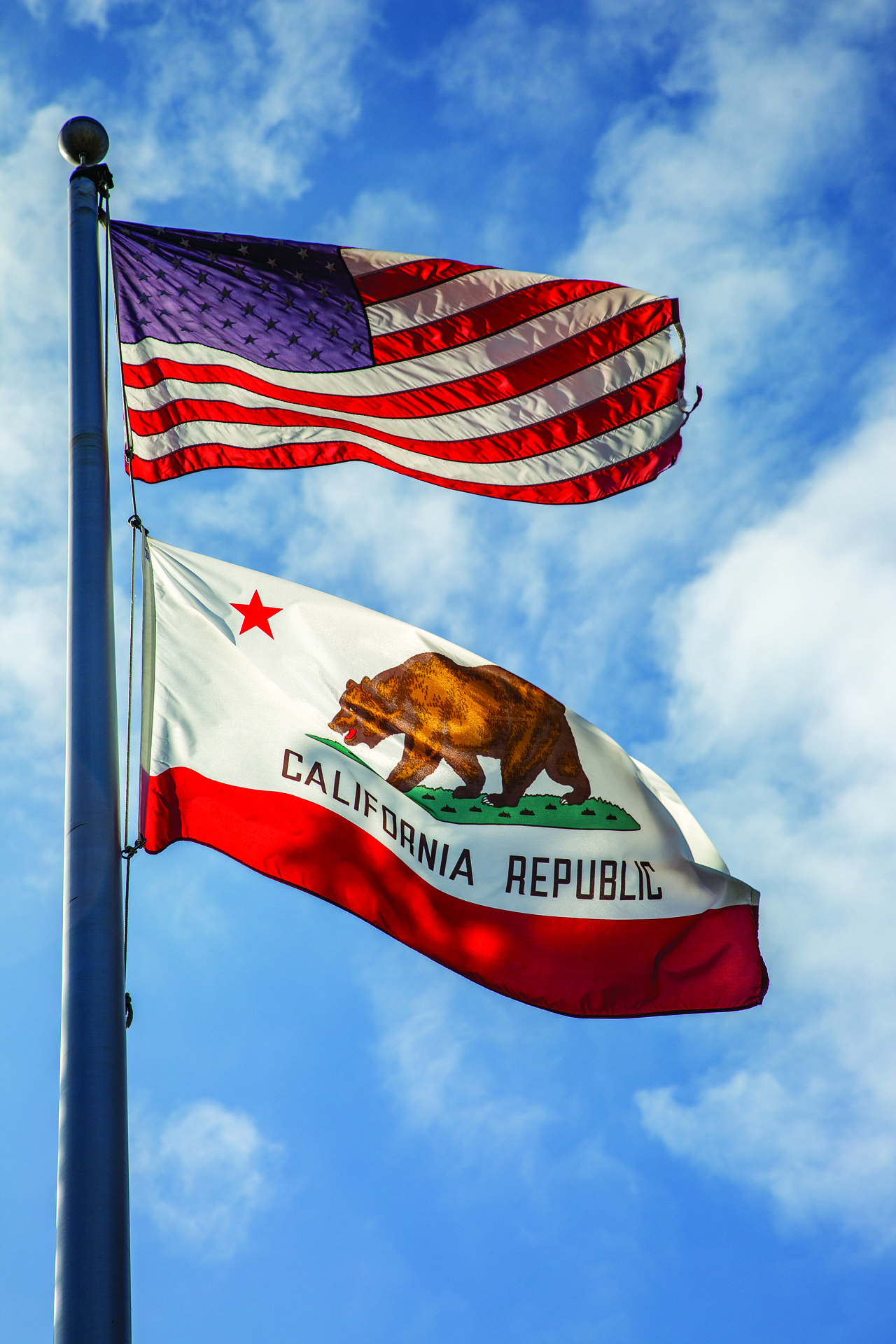 California Flag